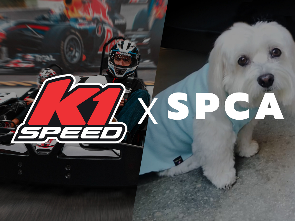 K1 Speed mascot and world's oldest Coton de Tulear raises $235k for SPCAs