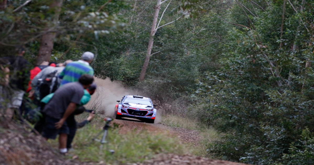FIA to develop rally safety action plan | RACER